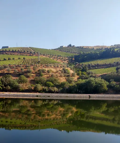 Vista do Rio Douro, Portugal
