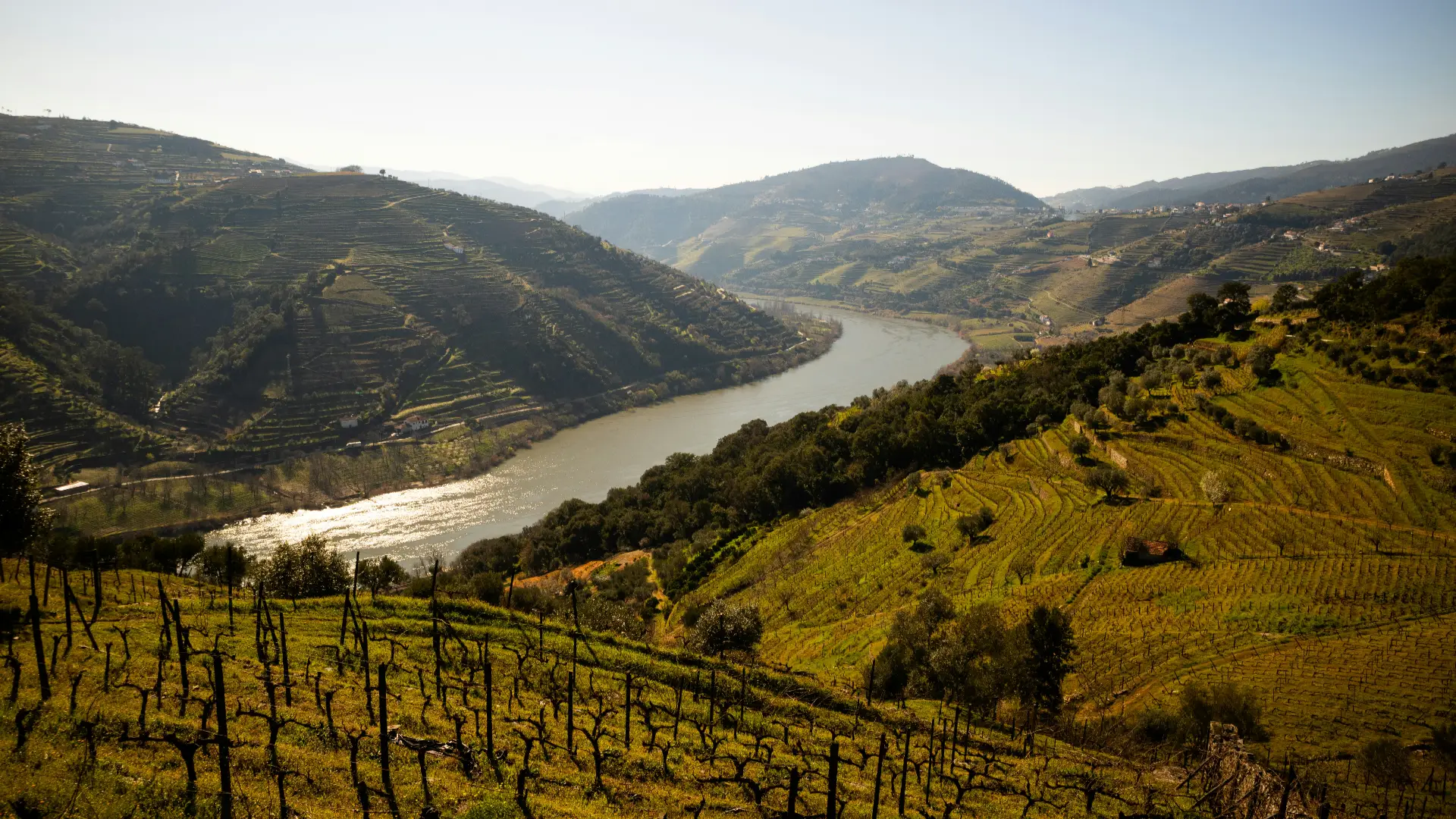 Douro Portugal, viagens de grupo